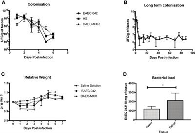 A Novel Adult Murine Model of Typical Enteroaggregative Escherichia coli Infection Reveals Microbiota Dysbiosis, Mucus Secretion, and AAF/II-Mediated Expression and Localization of β-Catenin and Expression of MUC1 in Ileum